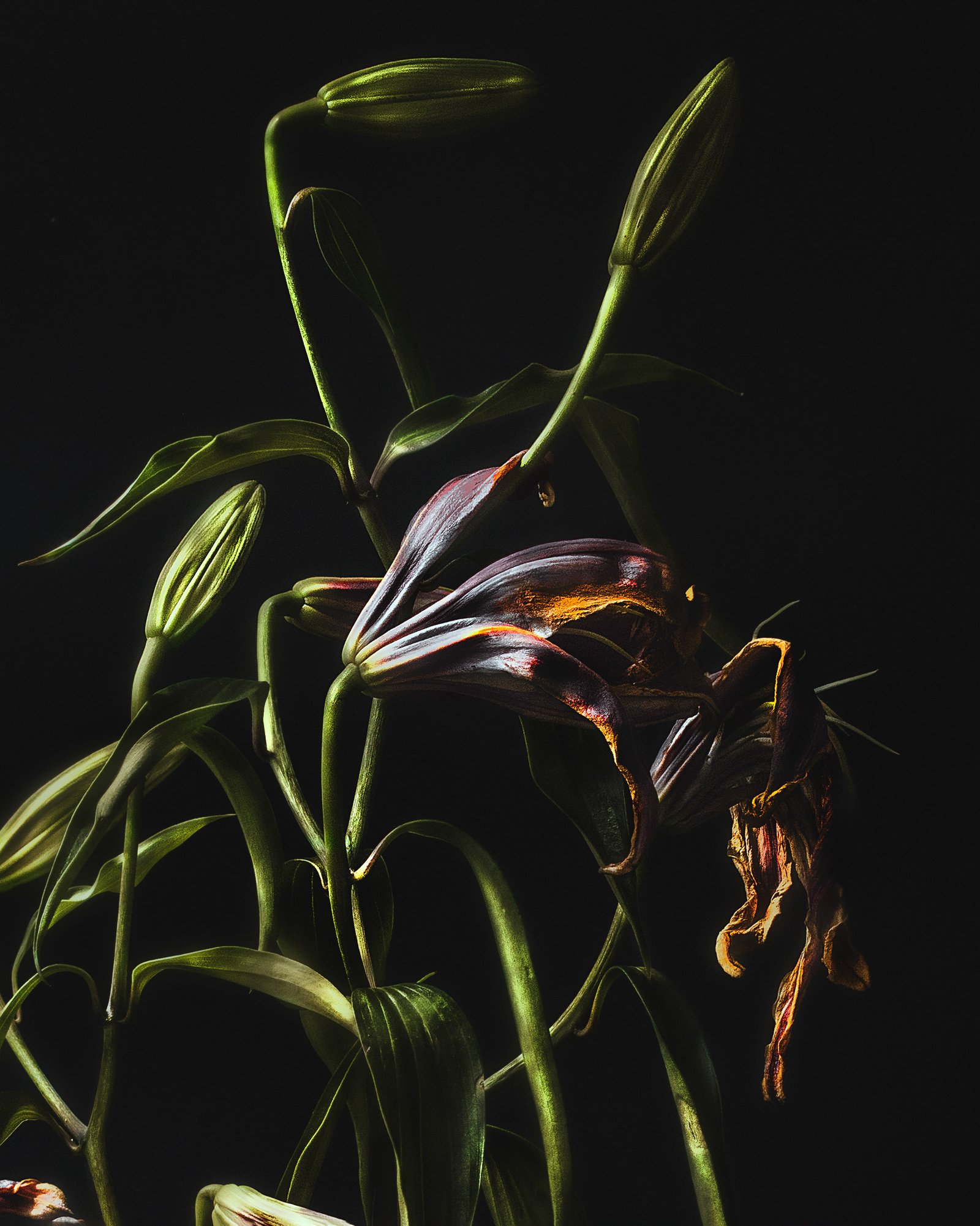PASO DEL TIEMPO — 05