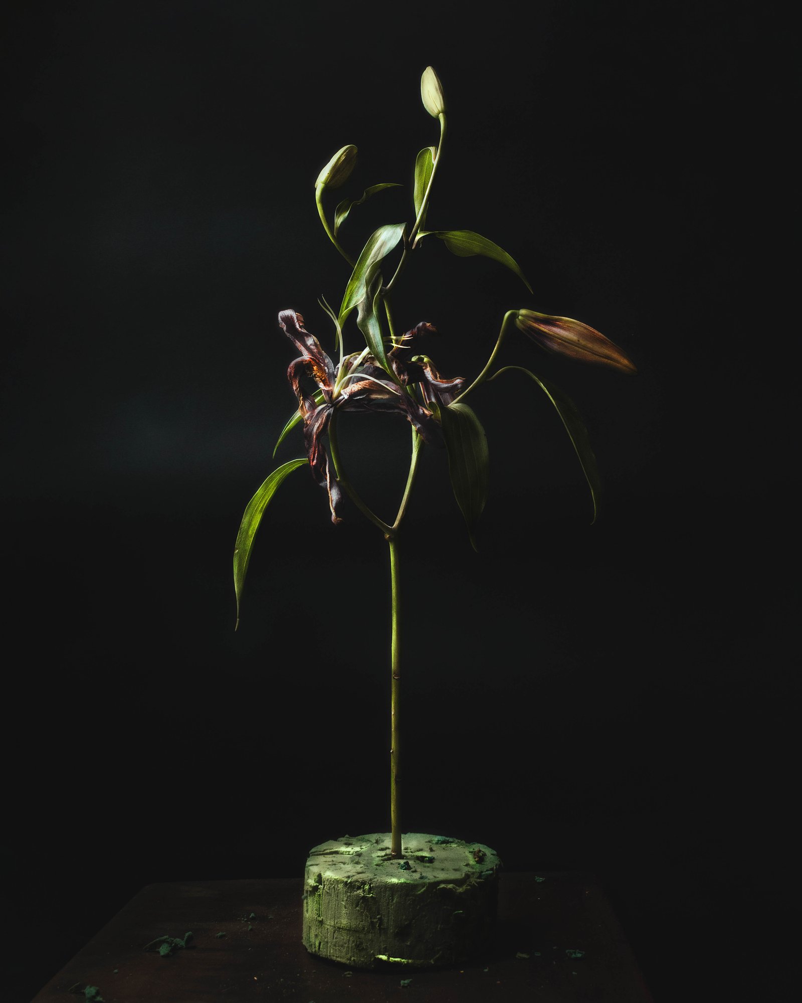 PASO DEL TIEMPO — 06